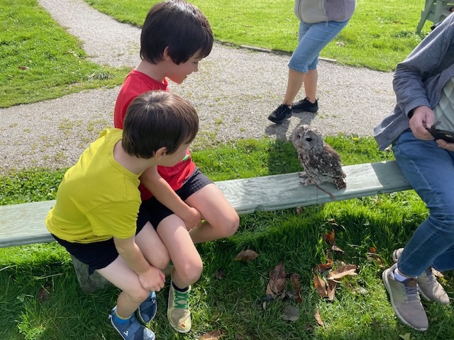 I highly recommend visiting Screech Owl Sanctuary and Animal Park if you are ever in Cornwall. We had a brilliant day, learnt lots about owls and wildlife and made some brilliant memories.