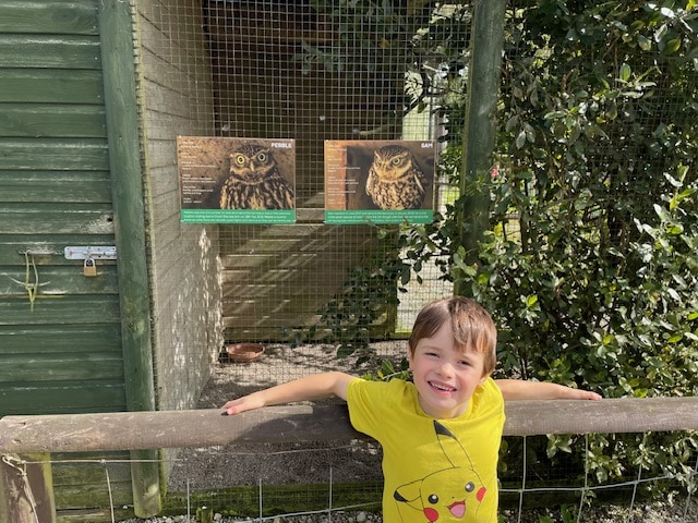 I highly recommend visiting Screech Owl Sanctuary and Animal Park if you are ever in Cornwall. We had a brilliant day, learnt lots about owls and wildlife and made some brilliant memories.