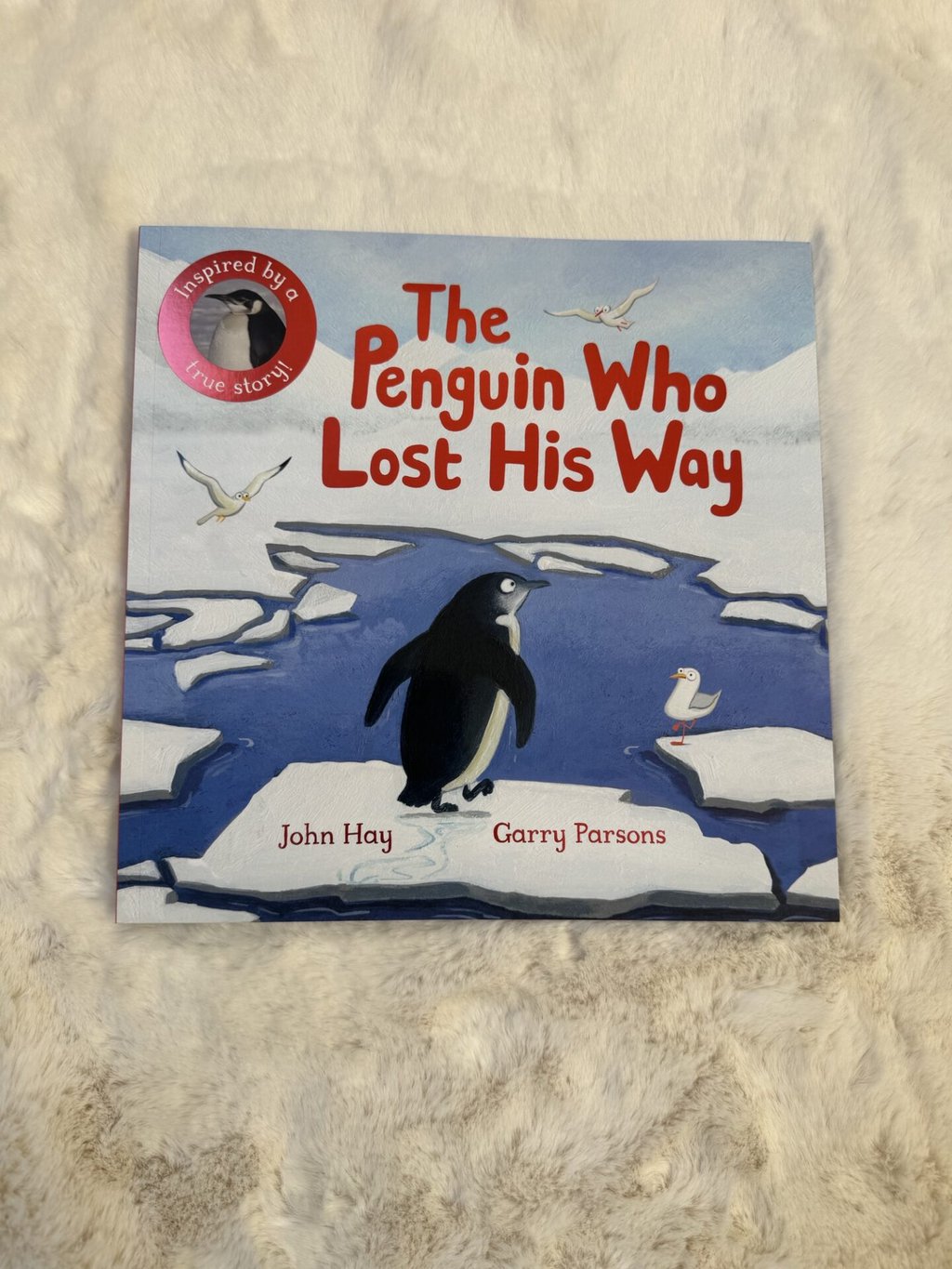 The Penguin who Lost His Way 
