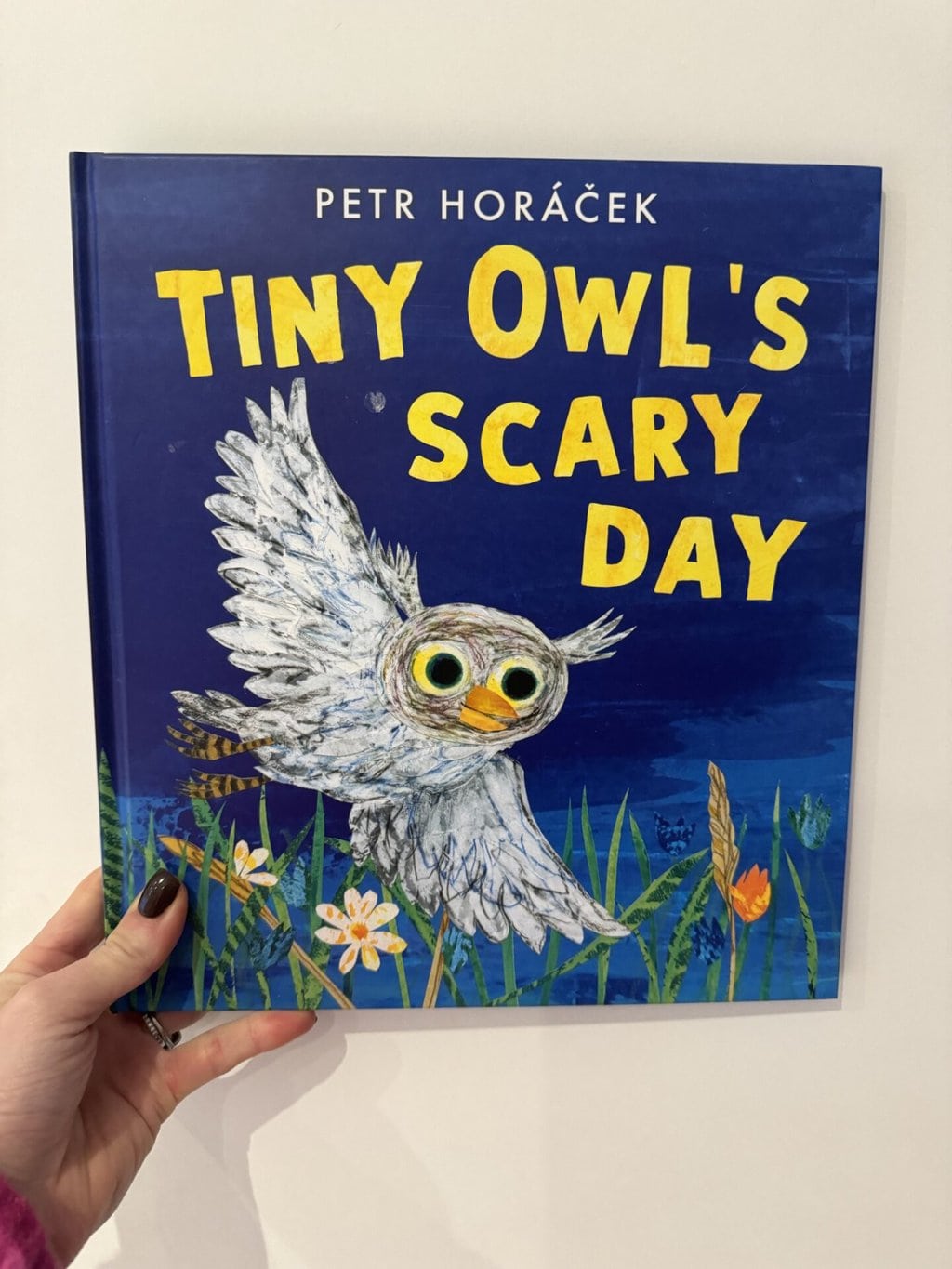 Tiny Owl’s Scary Day