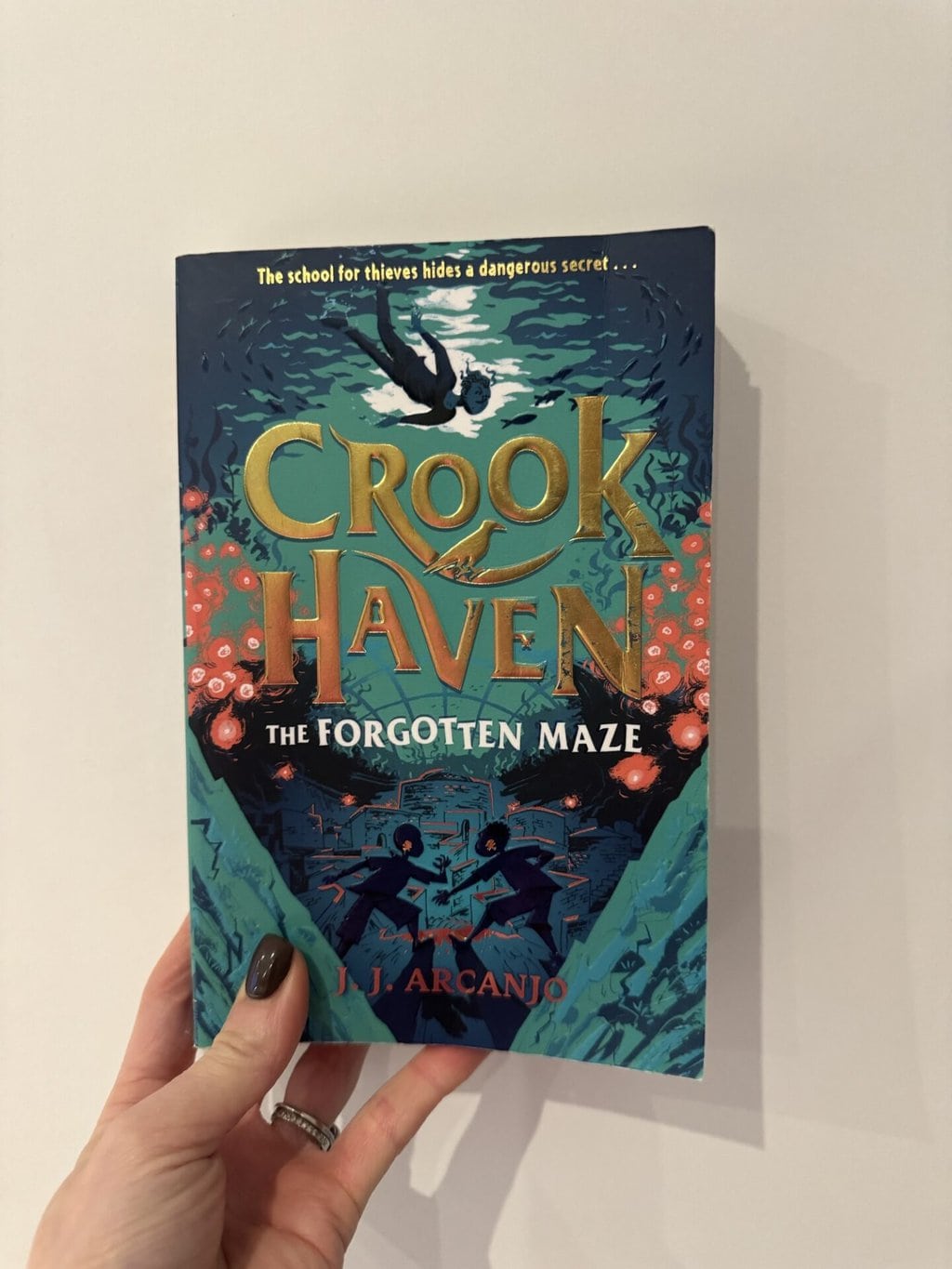 Crookhaven - The Forgotten Maze
