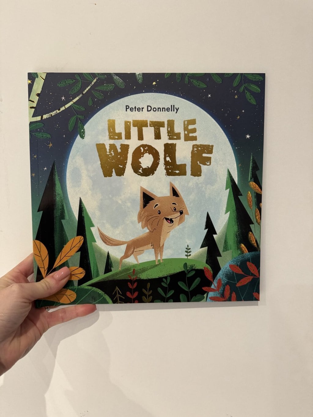 Little Wolf - Peter Donnelly