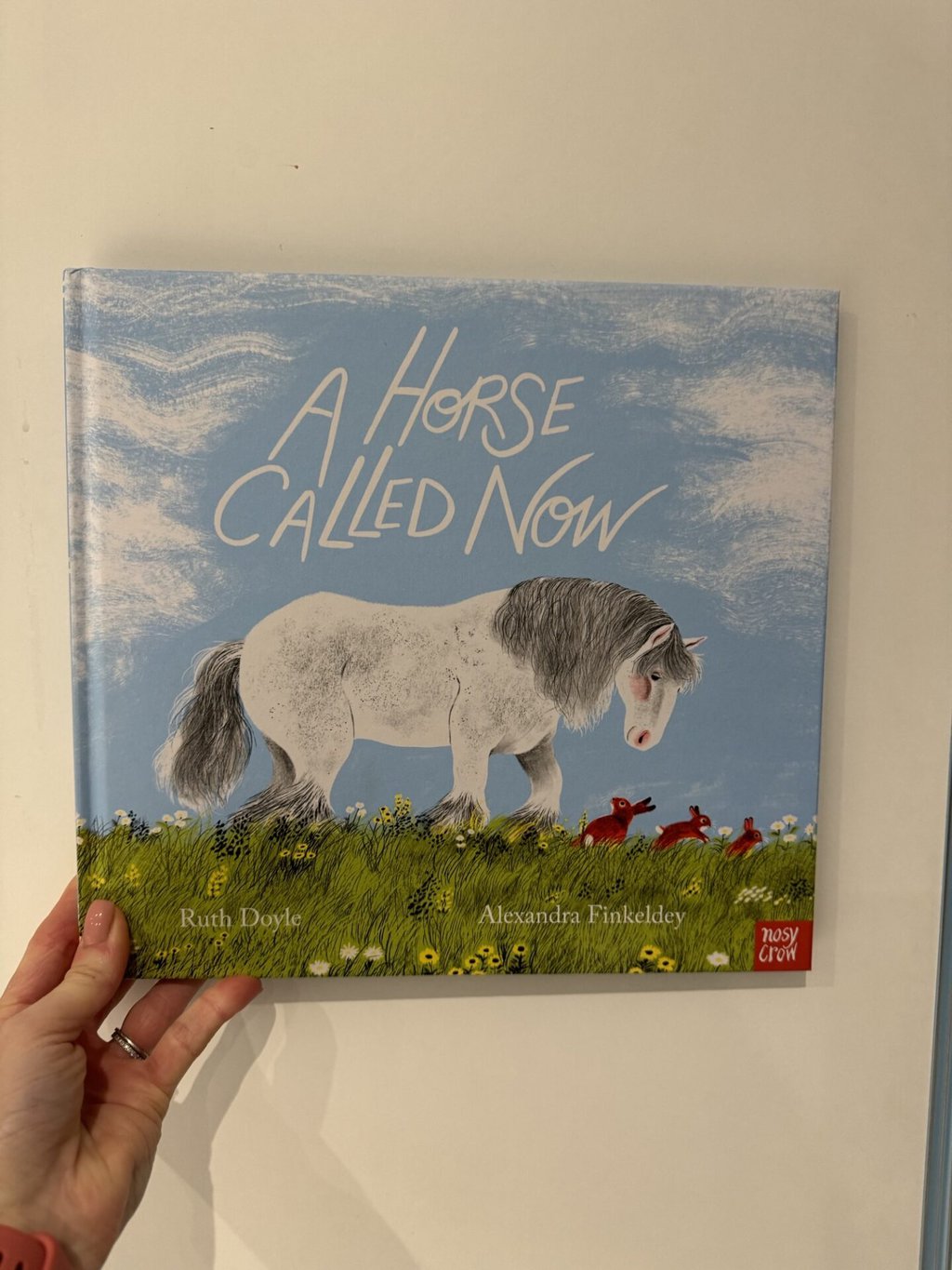A Horse Called Now - Ruth Doyle
