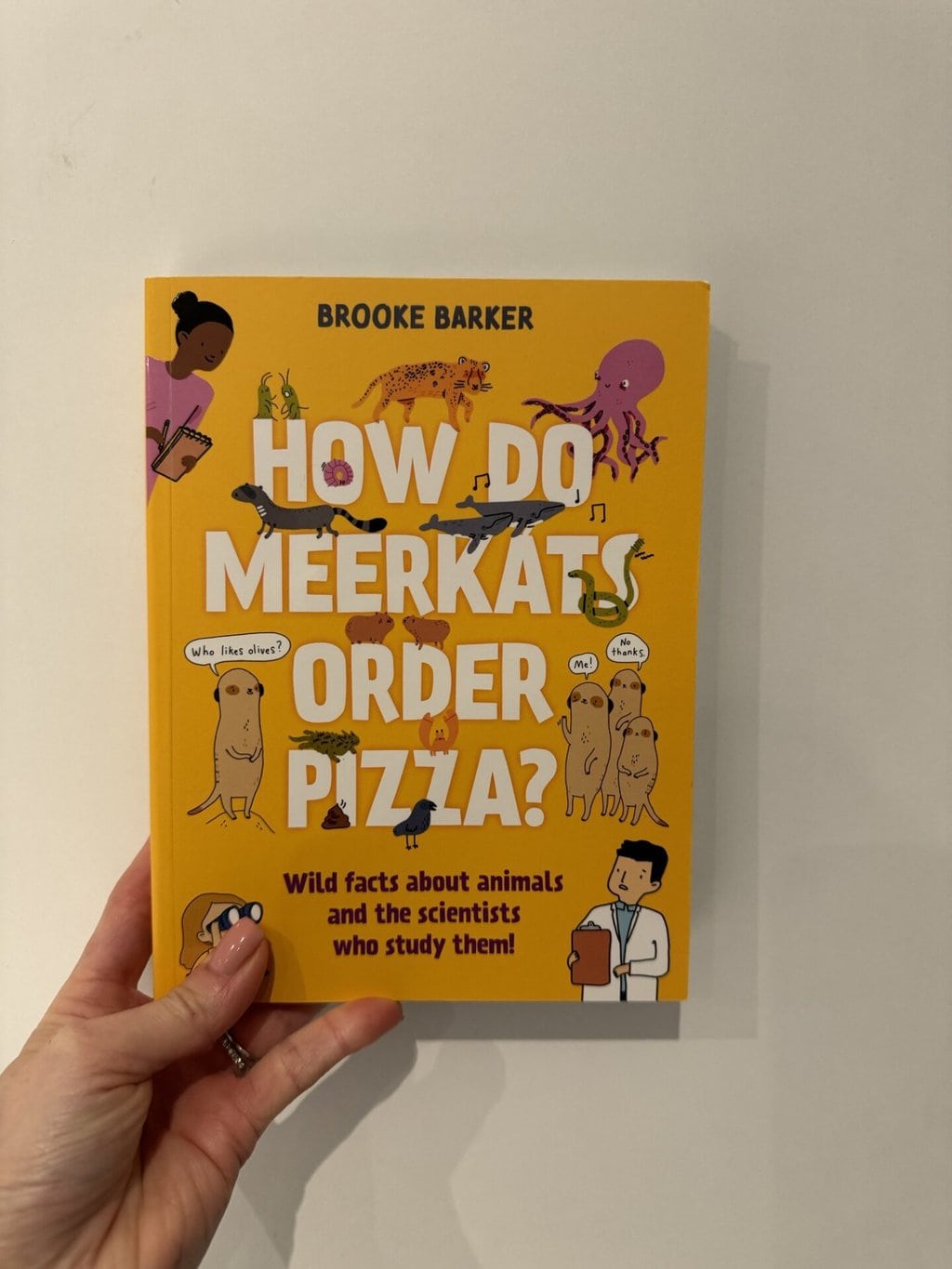 How do Meerkats Order Pizza?